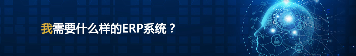 ����Ҫһ��ʲô�ӵ�ERPϵ�y��