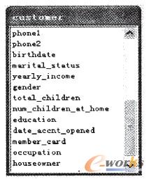 圖2 Customer數(shù)據(jù)表