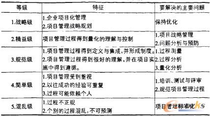 表1 項目管理成熟度等級
