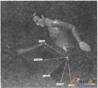 �ˑB�����D