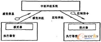 �D1 ���w����ϵ�y(t��ng)ʾ��D