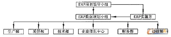 ERP實施項目數據規劃小組結構圖