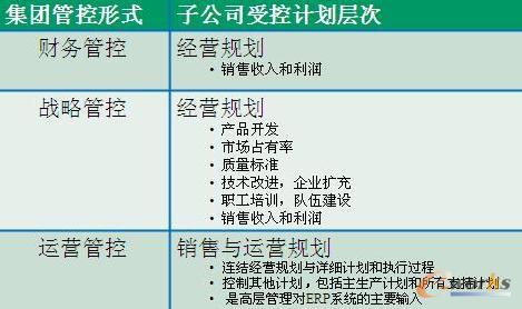 集團管控形式及子公司受控計劃層次