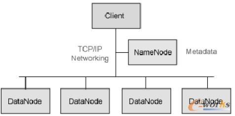 �D2 Hadoop�M�ɼܘ��D