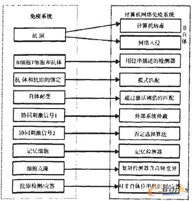 �D2 �˹����ߺ;W�j�z�yϵ�y��ӳ���Pϵ