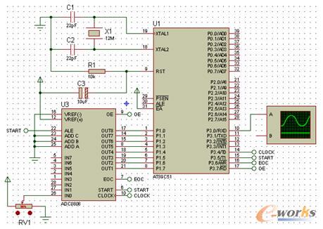 Proteus�����·�D