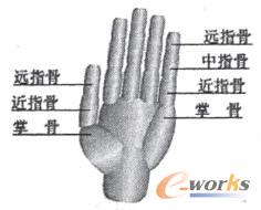 ���ֵĽY(ji��)��(g��u)�D