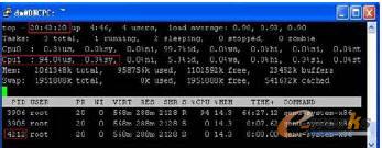 t2 �r��KVM ̓�M�C�M���\�Р�B