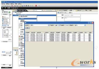 TDM系統信息查詢對話框