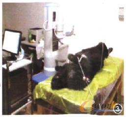 ΢���������g�C����ϵ�y