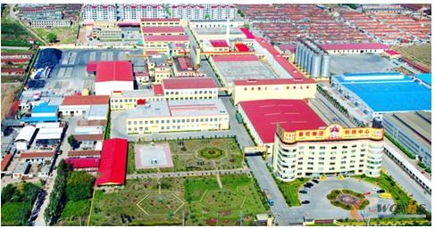 �D1 ɽ�|�������F(tu��n)���޹�˾