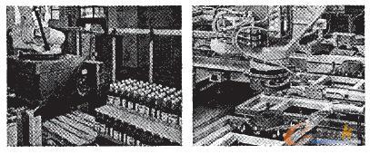 ����Ĳ���