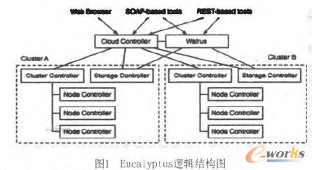 Eucalyptus߉݋�Y���D