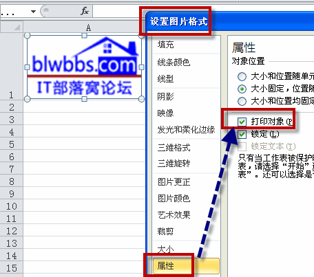 ����ӡ�DƬ