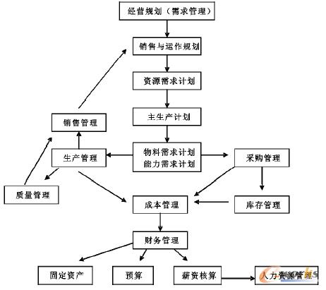 �D1 ERP����Ҫ߉݋����