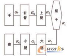 ���wģ��֫�w�ӴνY��