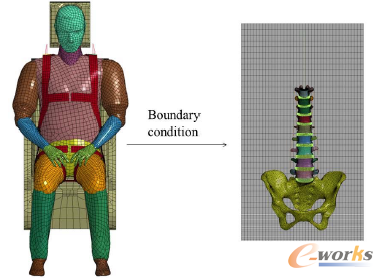 �D1 ���w�����W(xu��)����ģ�ͣ��󣩼�����׵����Ԫģ�ͣ��ң�