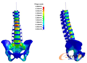 �D5 �����^��������׵���摪(y��ng)���ֲ�(t=0.12s)