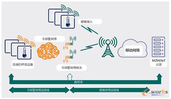 圖1 毛細(xì)管網(wǎng)絡(luò)架構(gòu)圖