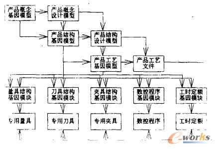 產品生命過程中的基因模型的演變過程
