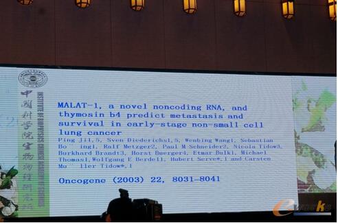  (�L朷Ǿ��aMALAT-1 RNA�c�ΰ����P(gu��n)ϵ)