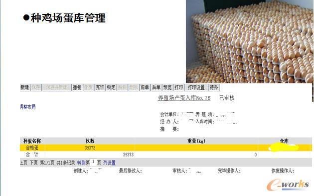 �D8 �N�u���������