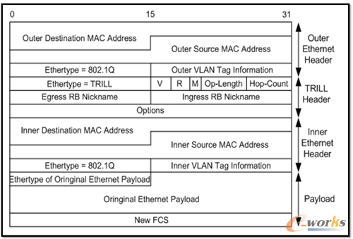 TRILL���ĸ�ʽ