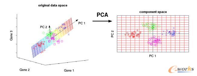 �C���W�����̎���Ҫ�˽��ʮ�N�㷨