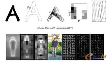 Hog��Dalal��2005