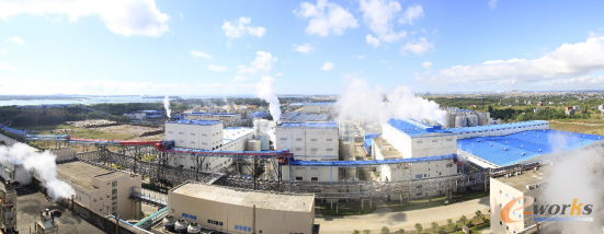 圖1 廣西金桂漿紙業有限公司